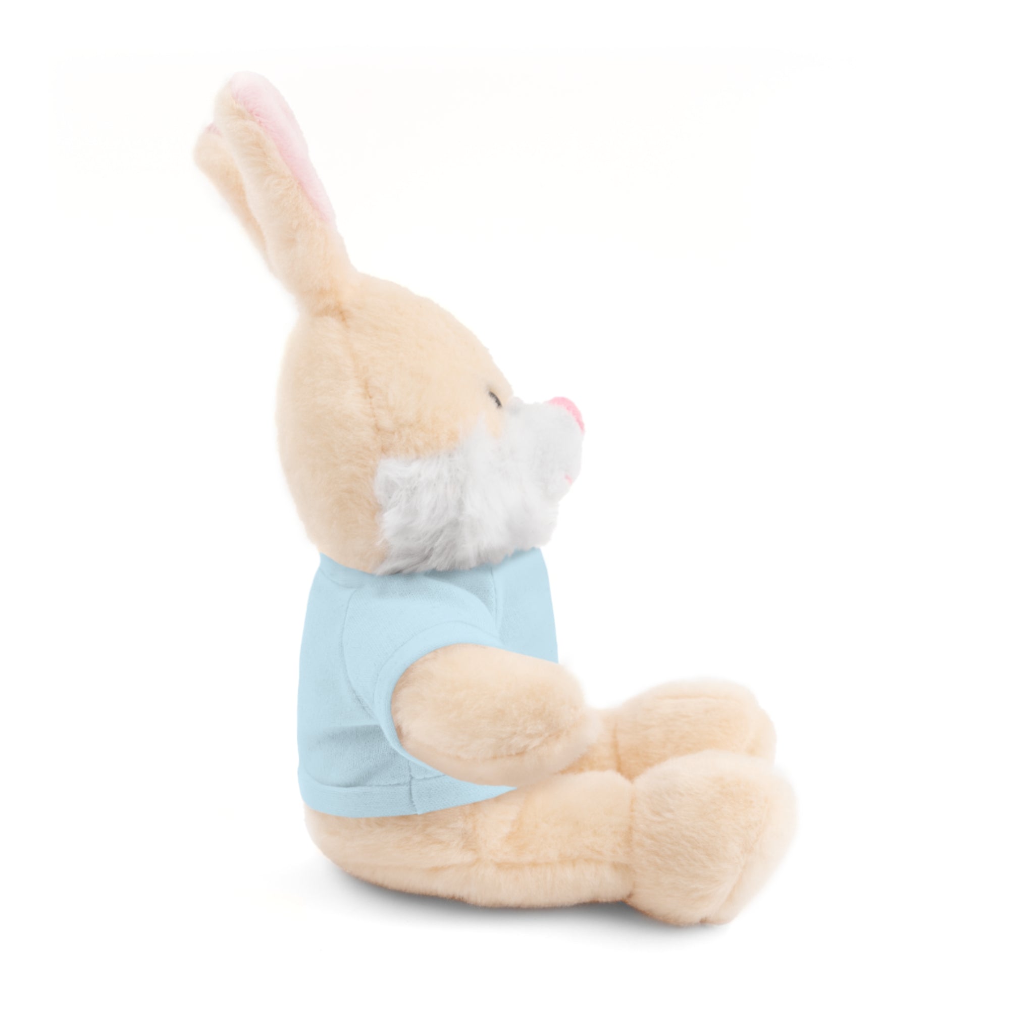 Customizable Plush Bunny with Tee