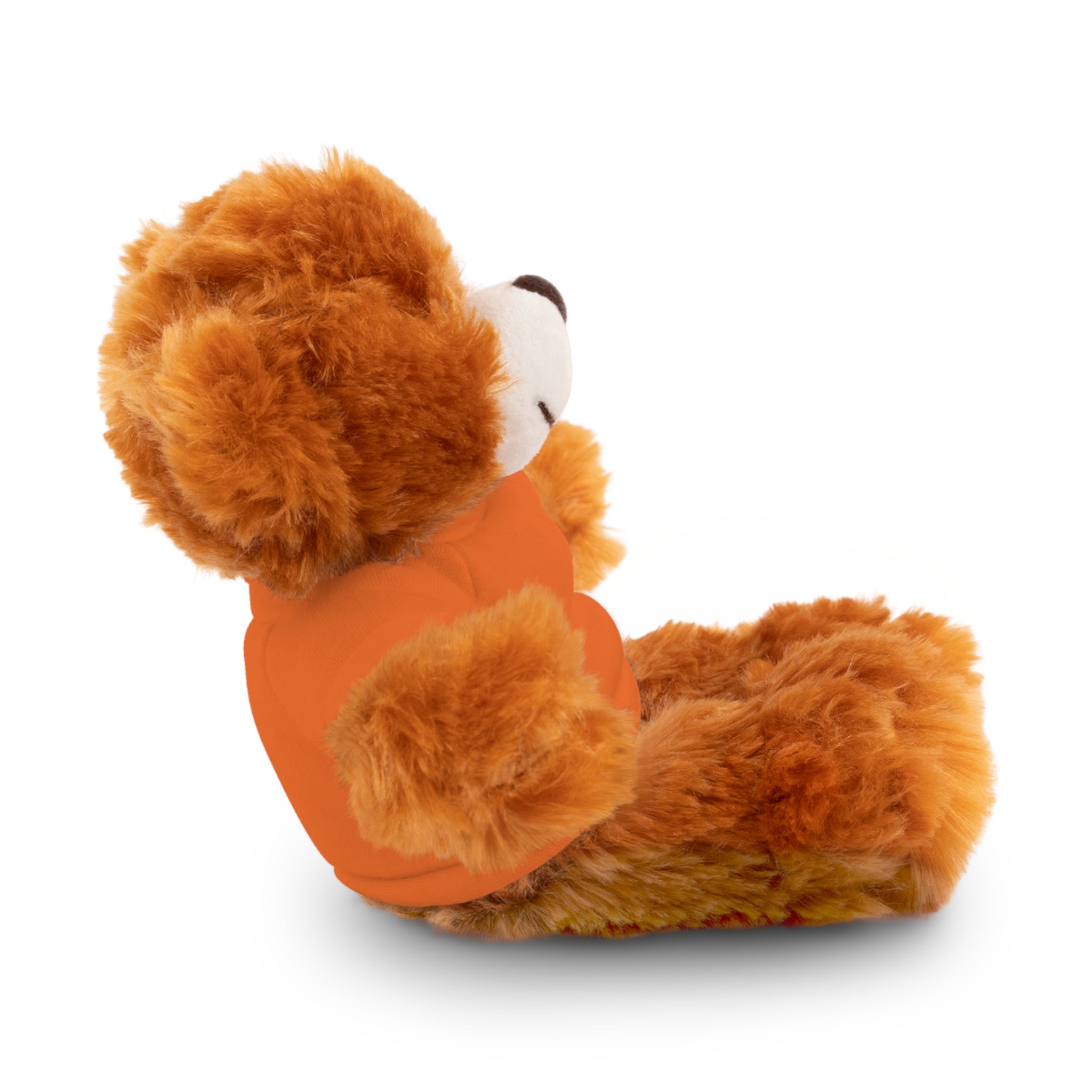 Customizable Stuffed Bear with Custom Tee