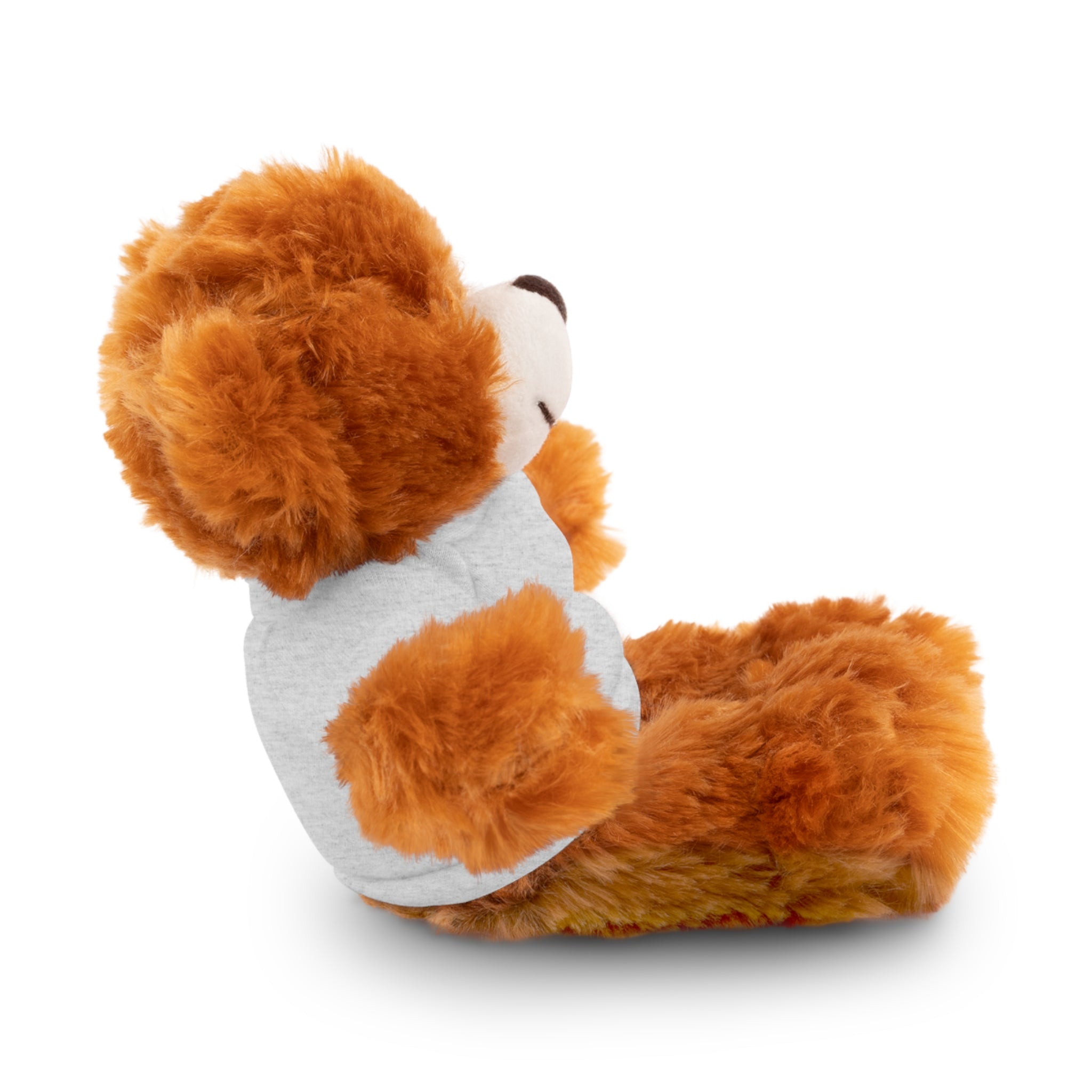 Customizable Stuffed Bear with Custom Tee