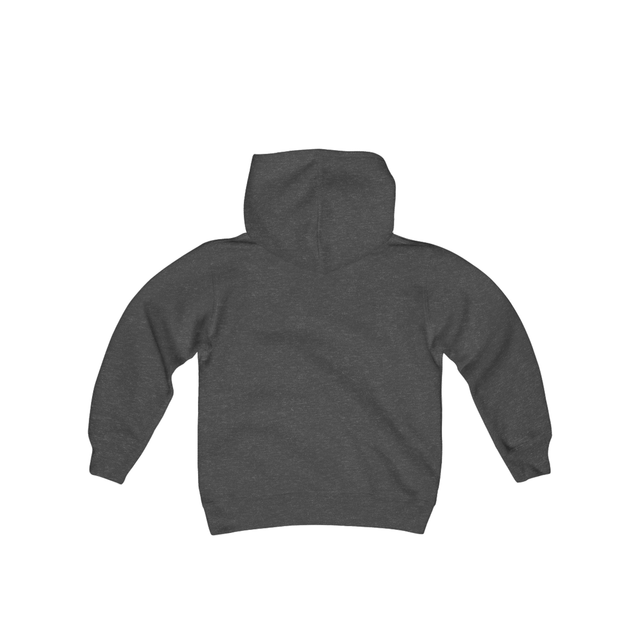 Youth Hooded Sweathshirt