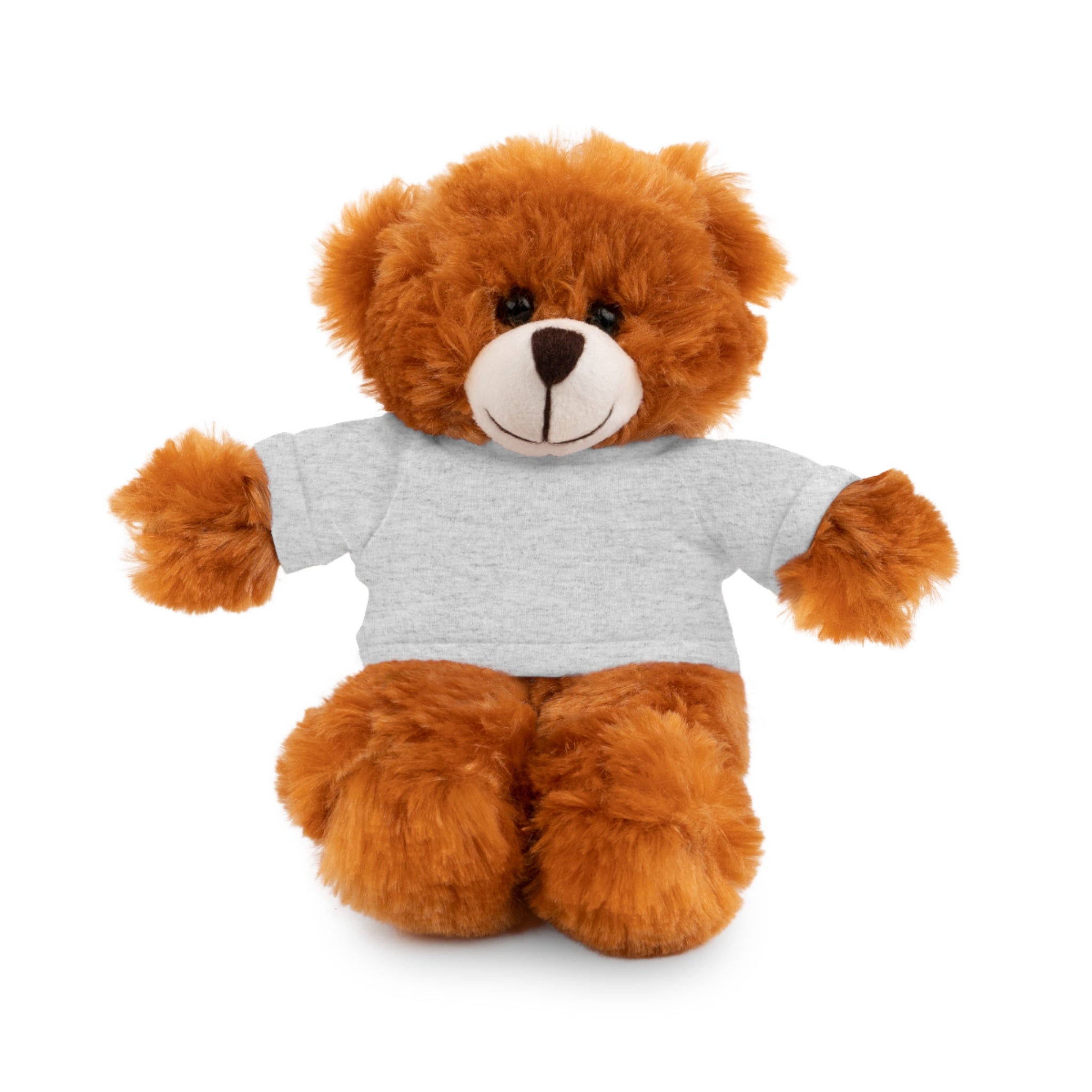 Customizable Stuffed Bear with Custom Tee - 0