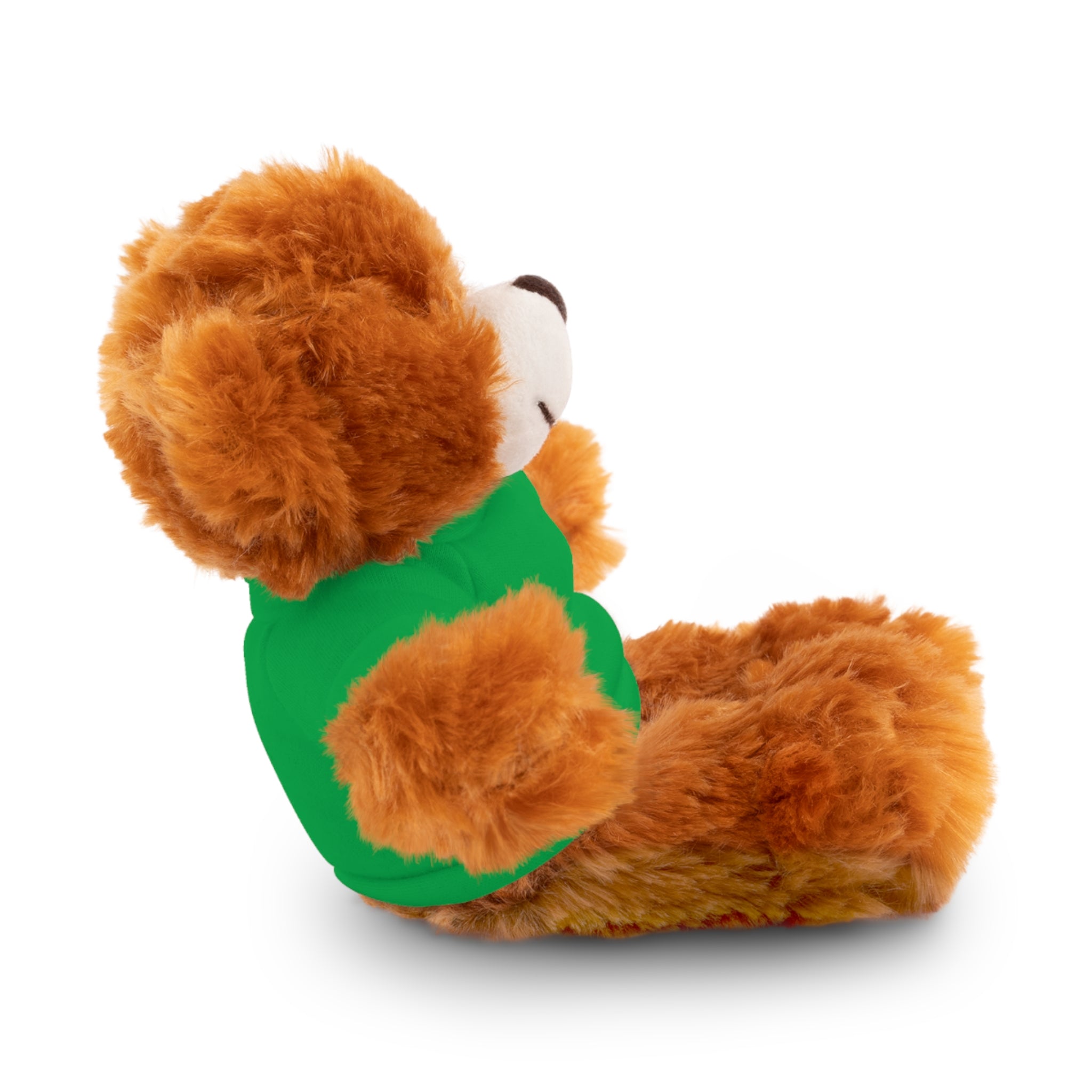 Customizable Stuffed Bear with Custom Tee