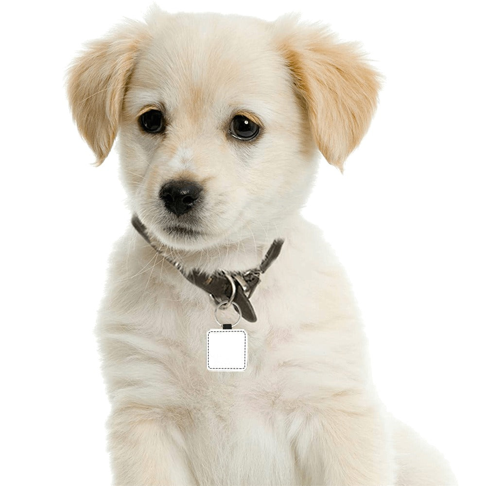 Customizable Square Pet ID Tag - 0