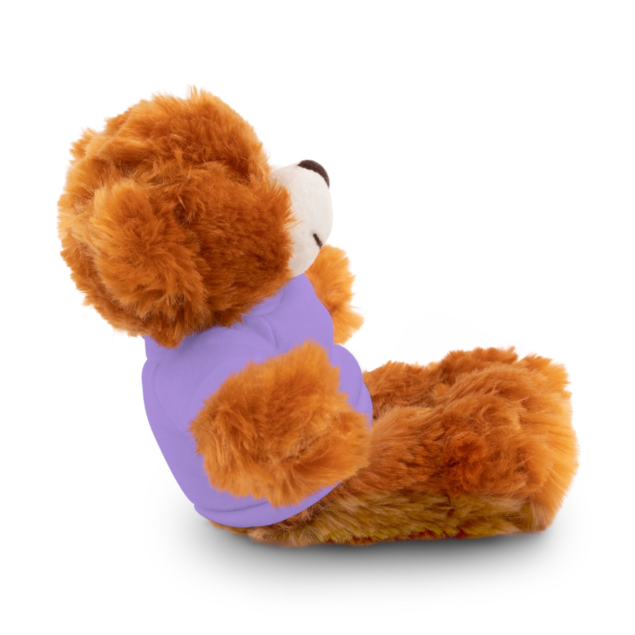 Customizable Stuffed Bear with Custom Tee