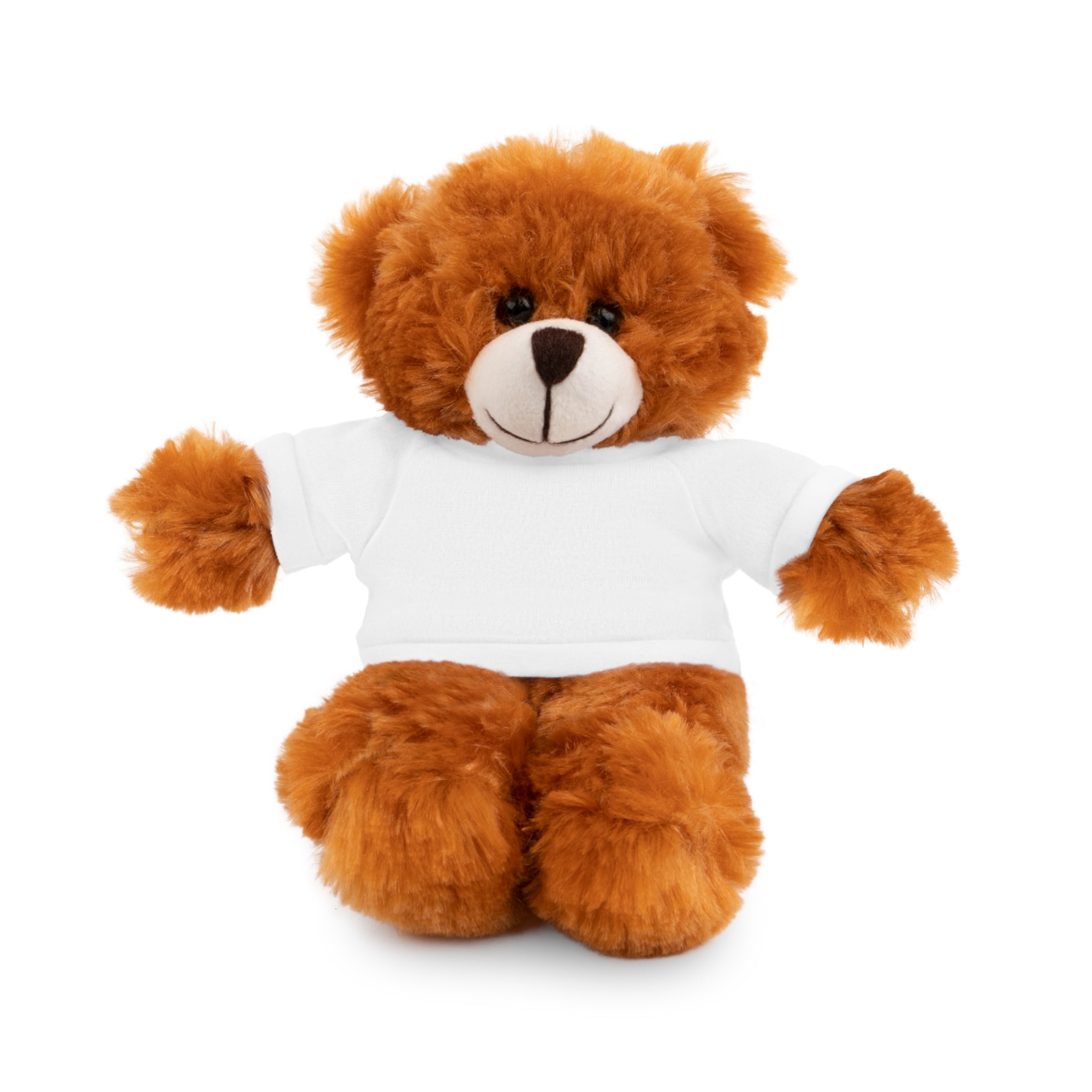 Customizable Stuffed Bear with Custom Tee