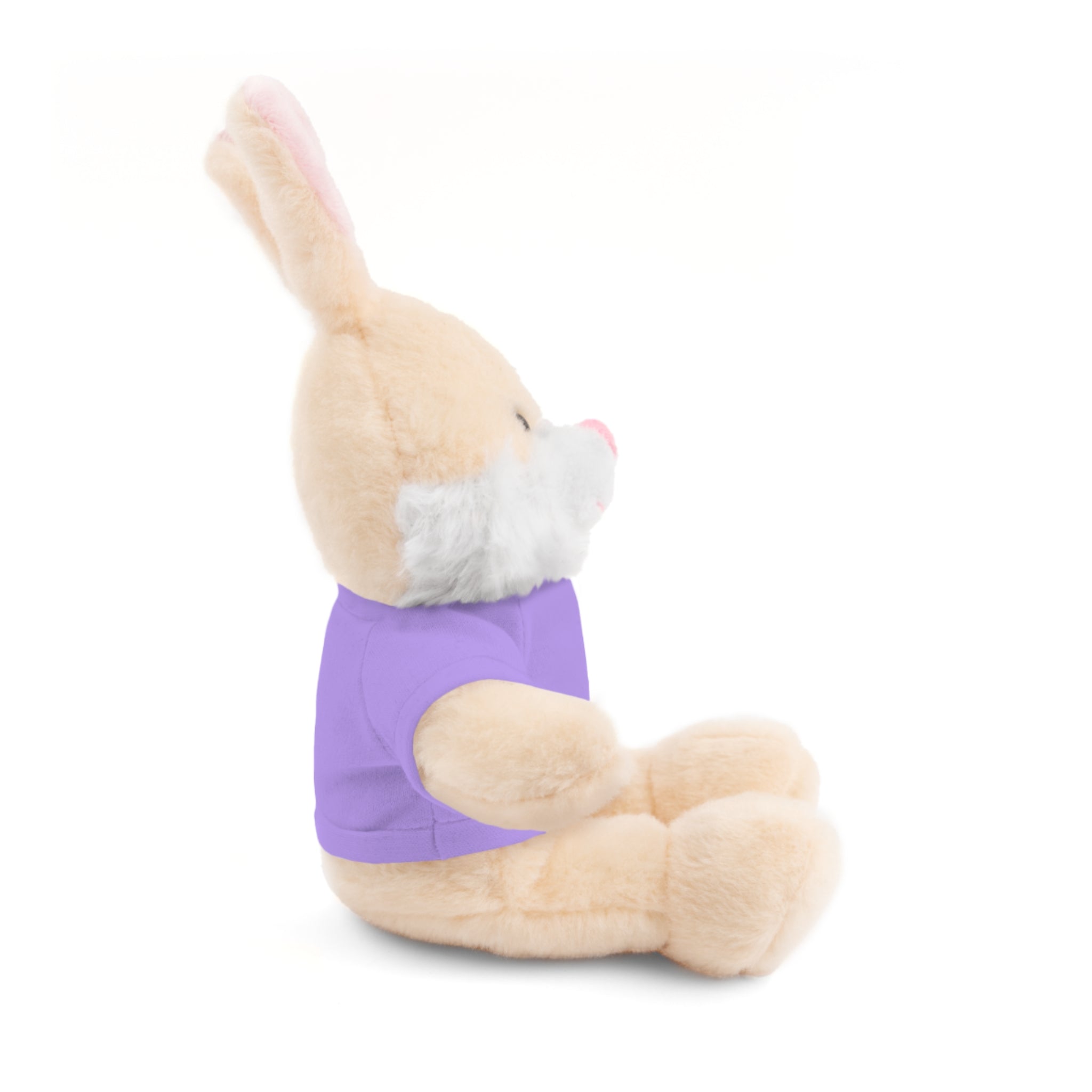 Customizable Plush Bunny with Tee