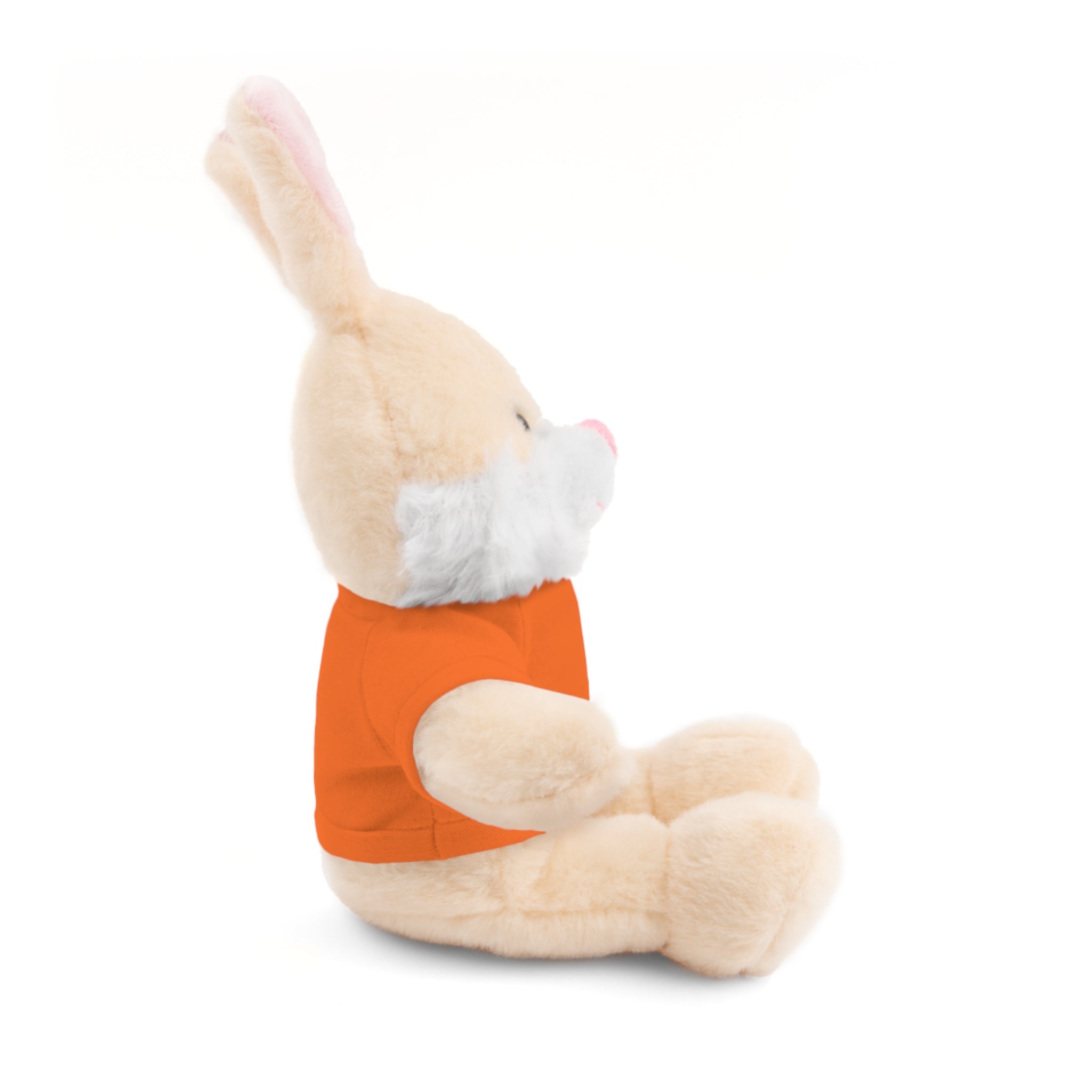 Customizable Plush Bunny with Tee