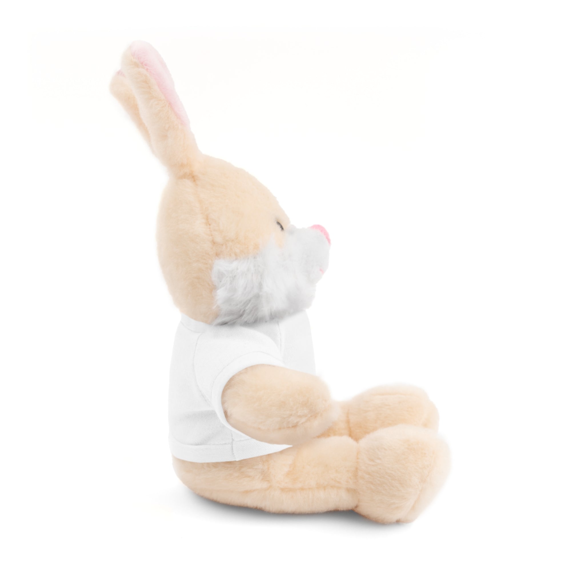 Customizable Plush Bunny with Tee